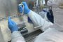 Laboratório da Feevale para a fazer testes para diagnosticar varíola dos macacos<!-- NICAID(15162317) -->
