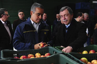 CAXIAS DO SUL, RS, BRASIL, 05/08/2022. O Ministro da Cidadania, Ronaldo Vieira Bento, visitou nesta sexta (05) o Banco de Alimentos de Caxias do Sul. Na foto,  Ronalvo Vieira Bento (E), Ministro da Cidadania e Adiló Didomenico, prefeito de Caxias do Sul. (Bruno Todeschini/Agência RBS)<!-- NICAID(15167672) -->