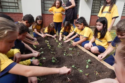 Projeto da Serra que incentiva hábitos saudáveis na alimentação chega a novos municípios gaúchos. Ação da Cooperativa Santa Clara, de Carlos Barbosa, contemplará escolas de mais seis cidades. Na foto de banco de dados, ação da EMEF Carlos Barbosa<!-- NICAID(15169760) -->