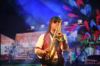 CAXIAS DO SUL, RS, BRASIL, 26/11/2016. Terceira e última noite do Mississippi Delta Blues Festival 2016 - Bottle Trees Edition. O palco principal, nomeado Bottle Tree Stage, teve como segunda atração Greg Mad Dog Wilson (RJ - USA) & The Fallin Stars feat. Beto Saroldi (RJ). (Diogo Sallaberry/Agência RBS)<!-- NICAID(12588126) -->