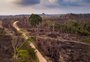 Amazônia tem mais de 3 milhões de quilômetros de estradas ilegais, aponta estudo