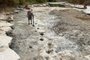 *A PEDIDO DE GABRIELA PERUFO* Pegadas de dinossauro no Dinosaur Valley State Park exposta após seca de rio - Foto: Texas Parks and Wildlife Department/Divulgação<!-- NICAID(15185685) -->