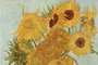 Girassois de Van Gogh<!-- NICAID(14587788) -->
