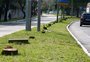 Obras de escavação para alargamento da Avenida Eduardo Prado terão início na próxima semana