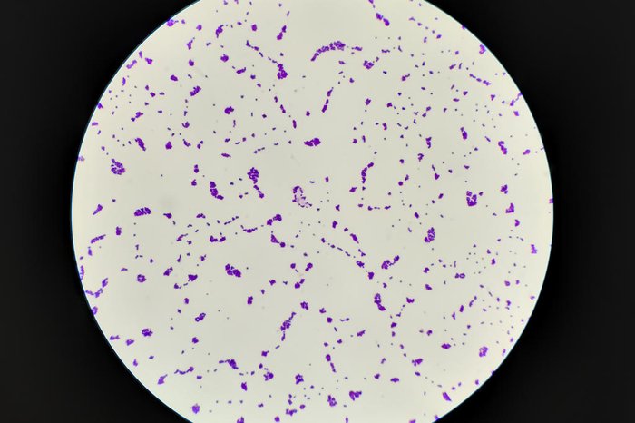 Arif Biswas / stock.adobe.com