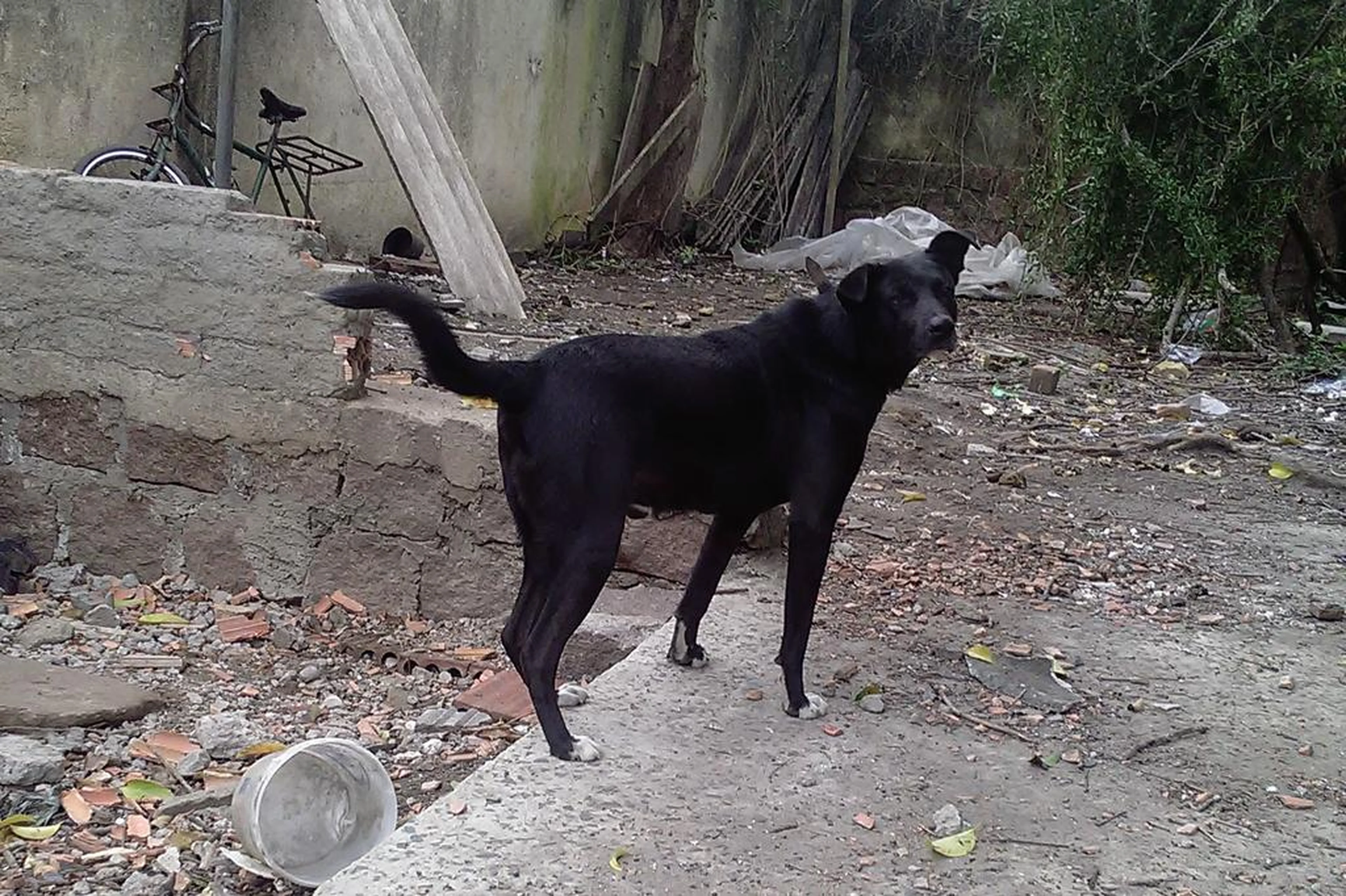Arquivo pessoal/Reprodução