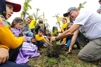 A prefeitura de São Francisco de Paula lançou na quarta-feira (21) o projeto ¿Um milhão de araucárias em 50 anos¿.Crianças da pré-escola da rede municipal foram as responsáveis pelo pontapé inicial da iniciativa com o plantio de 150 mudas no Bosque das Araucárias dentro do Parque Natural Municipal da Ronda.<!-- NICAID(15214523) -->