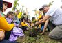 São Francisco de Paula lança projeto que prevê plantio de um milhão de araucárias em 50 anos