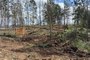 Um homem de 48 anos morreu após ser atingido por um eucalipto, na manhã desta quarta-feira (28), em Campestre da Serra. A ocorrência foi registrada por volta de 9h, na localidade de São Bernardo Velho, área rural do município. A vítima foi identificada pela Polícia Civil como Paulo Ortiz do Prado.<!-- NICAID(15219857) -->