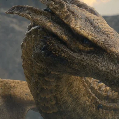 House of the Dragon<!-- NICAID(15231628) -->