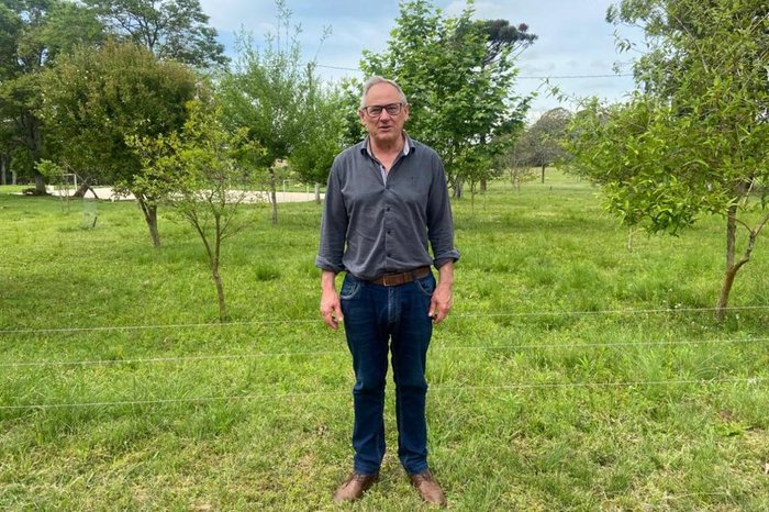 Liciane Piazzon / Divulgação