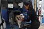 CANELA, RS, BRASIL, 19/10/2022. Canil da Susepe na Serra, inaugurado neste ano, tem parceria com a Apae para terapia com cães, a cinoterapia. Tratamento ocorre uma vez por semana. Na foto, Jalcira Figueiredo, policial penal. (Bruno Todeschini/Agência RBS)<!-- NICAID(15240542) -->