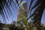 Porto Alegre, RS, Brasil, 25/11/2022 - Virada Sustentável 2022 inaugura Mural Lutz - Foto: Jefferson Botega/Agência RBSIndexador: Jeff Botega<!-- NICAID(15276402) -->