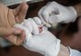 Após dois anos de queda, número de casos de HIV volta a crescer em Caxias do Sul 