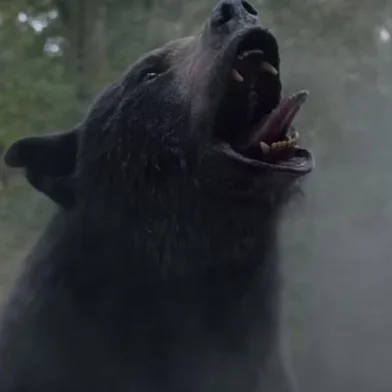 Frame do trailer do filme O Urso do Pó Branco, da Universal Pictures, sobre urso que ingere cocaína, que estreia em 2023<!-- NICAID(15282991) -->