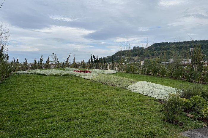 Rosane Tremea / Arquivo pessoal Rosane Tremea / Arquivo pessoal