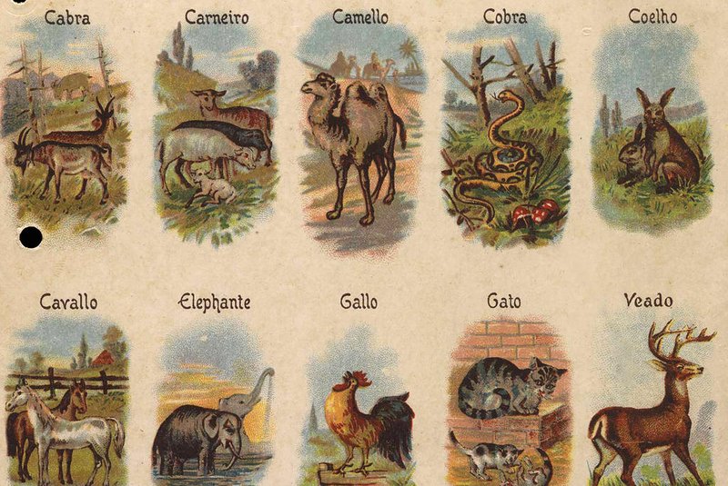 Cartela da Companhia Nacional Manufactôra de Fumos Progresso com os animais do jogo do bichoBiblioteca Nacional<!-- NICAID(15287988) -->