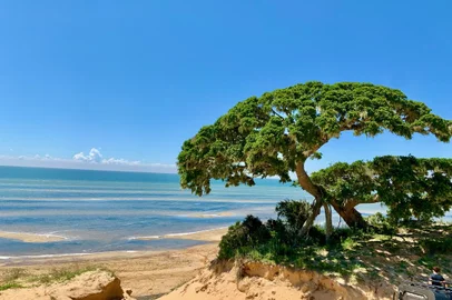 Tavares , Lagoa dos Patos , Costa Doce , turismo, praia de água doce<!-- NICAID(15289329) -->