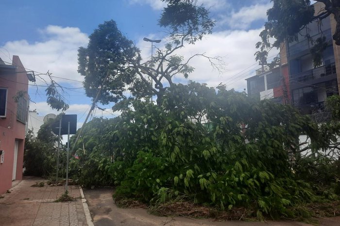 Temporal danifica casas e derruba árvores em Santana do Livramento | GZH