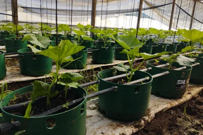 Vaso Pleno faz de produtor rural de Feliz referência de empreendedorismo <!-- NICAID(15306824) -->