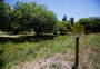 Canal "desaparece" no Parque Marinha do Brasil e ambientalistas criticam falta de ação da prefeitura; compare as imagens