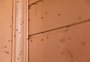 Infestação de mosquitos gera transtornos a moradores em bairro de Capão da Canoa