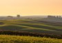 Com produção de vinhos e azeites, campanha gaúcha é um convite para o turismo rural
