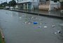 El Niño pode se formar ainda em 2023, trazendo chuva intensa para o Rio Grande do Sul 