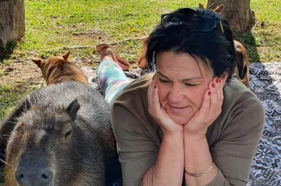 Capivara está desaparecida em Vila Seca.O animal se chamava Nicanor e era considerado de estimação para a família proprietária do Caminhos do Morango, estabelecimento turístico da região. Na foto, Elisana Stumpf, sócia-fundadora do estabelecimento.<!-- NICAID(15329181) -->