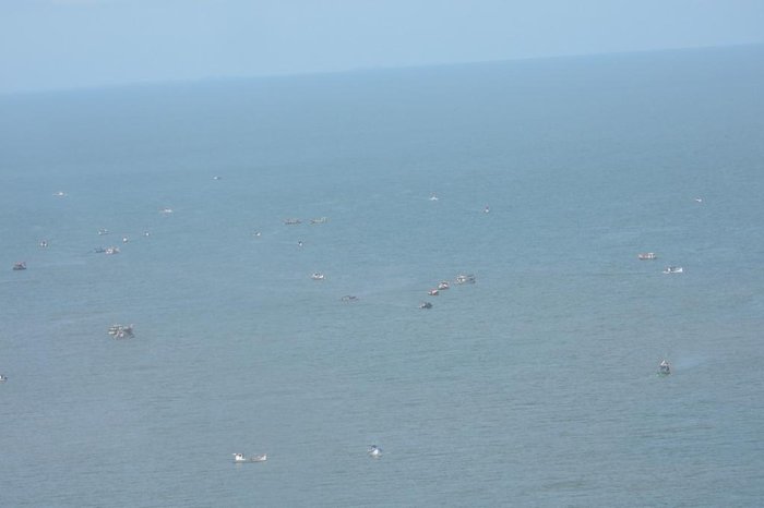 Kuriakin Humberto Toscan / Divulgação