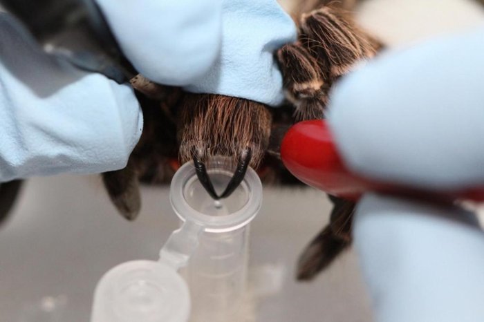 Alexandre K. Tashima / EPM-Unifesp (divulgação)