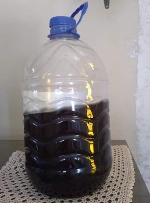 Cláudia Chidem / Arquivo pessoal Cláudia Chidem / Arquivo pessoal