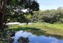 As possibilidades e os desafios para fazer a limpeza do lixo acumulado em trecho do Rio Gravataí