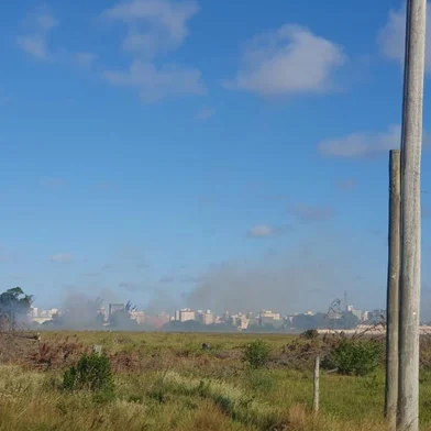 Focos de incêndio em vegetação que atingem as margens da Estrada do Mar - Foto: Ian Tâmbara/Agência RBS<!-- NICAID(15347330) -->