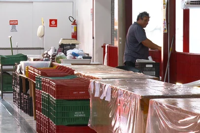 Agricultores da Feira do Produtor registram perdas de até 70% nas hortaliças<!-- NICAID(15989985) -->