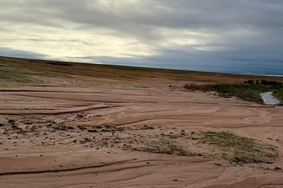 Lavouras soterradas pela terra em São Borja<!-- NICAID(16063996) -->