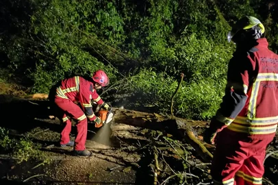 Em Picada Café, o temporal derrubou cerca de 18 árvores ao longo da BR-116, entre os quilômetros 188 e 208.<!-- NICAID(16342023) -->