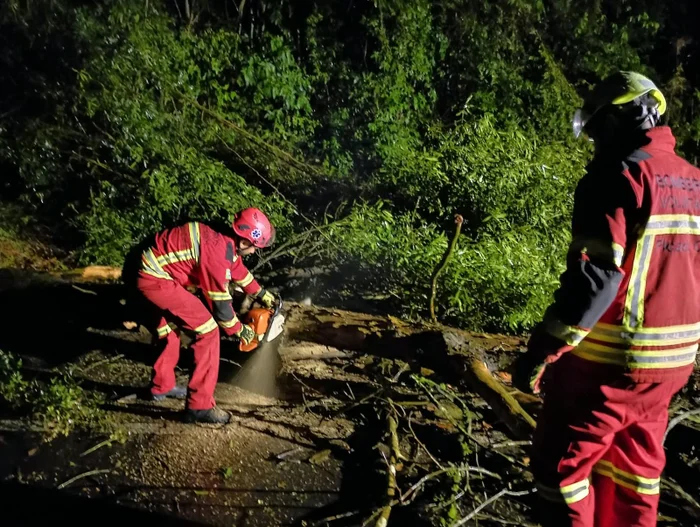 Corpo de Bombeiros Voluntários de Picada Café / Divulgação Corpo de Bombeiros Voluntários de Picada Café / Divulgação