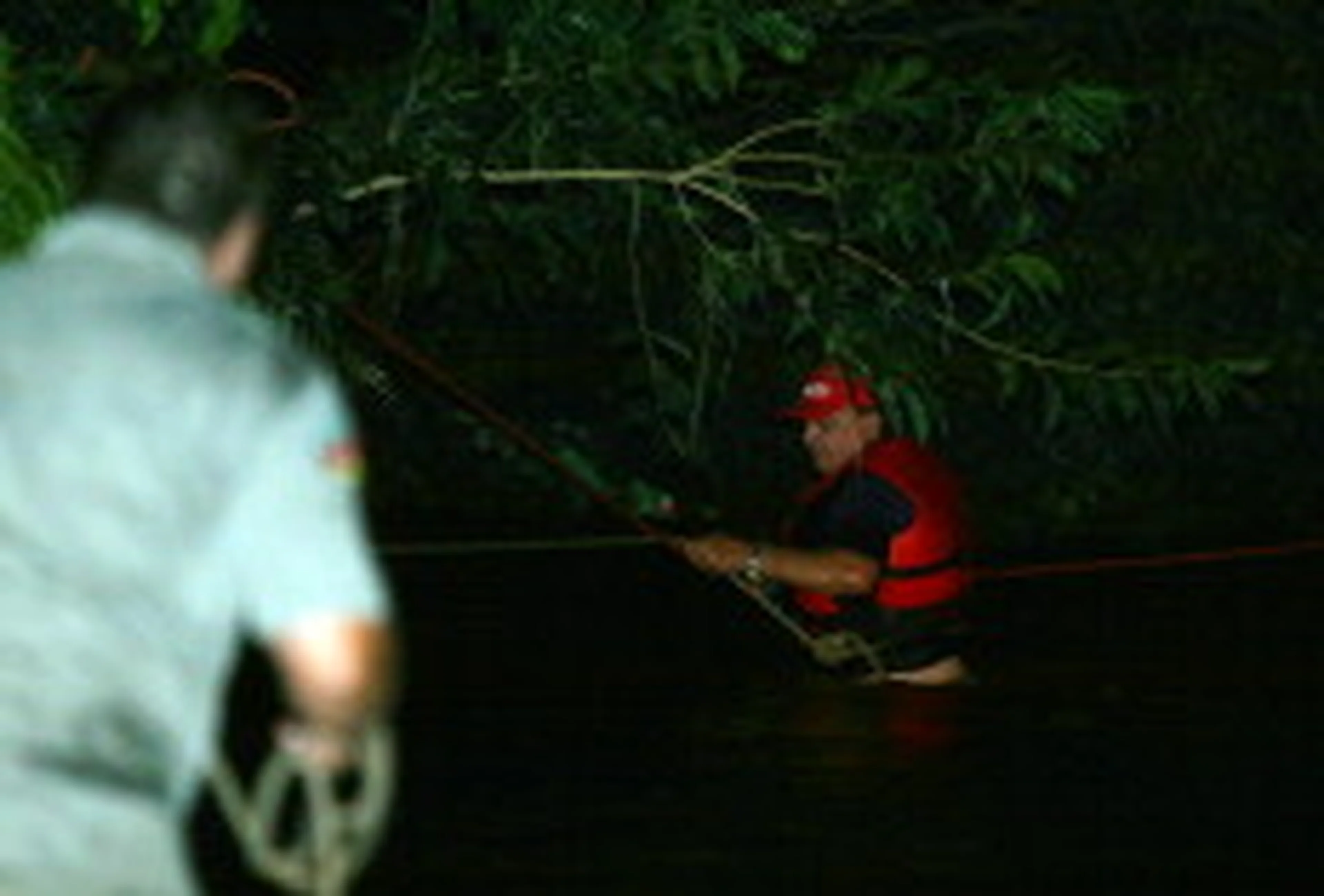 Sérgio da Rosa, Especial/null