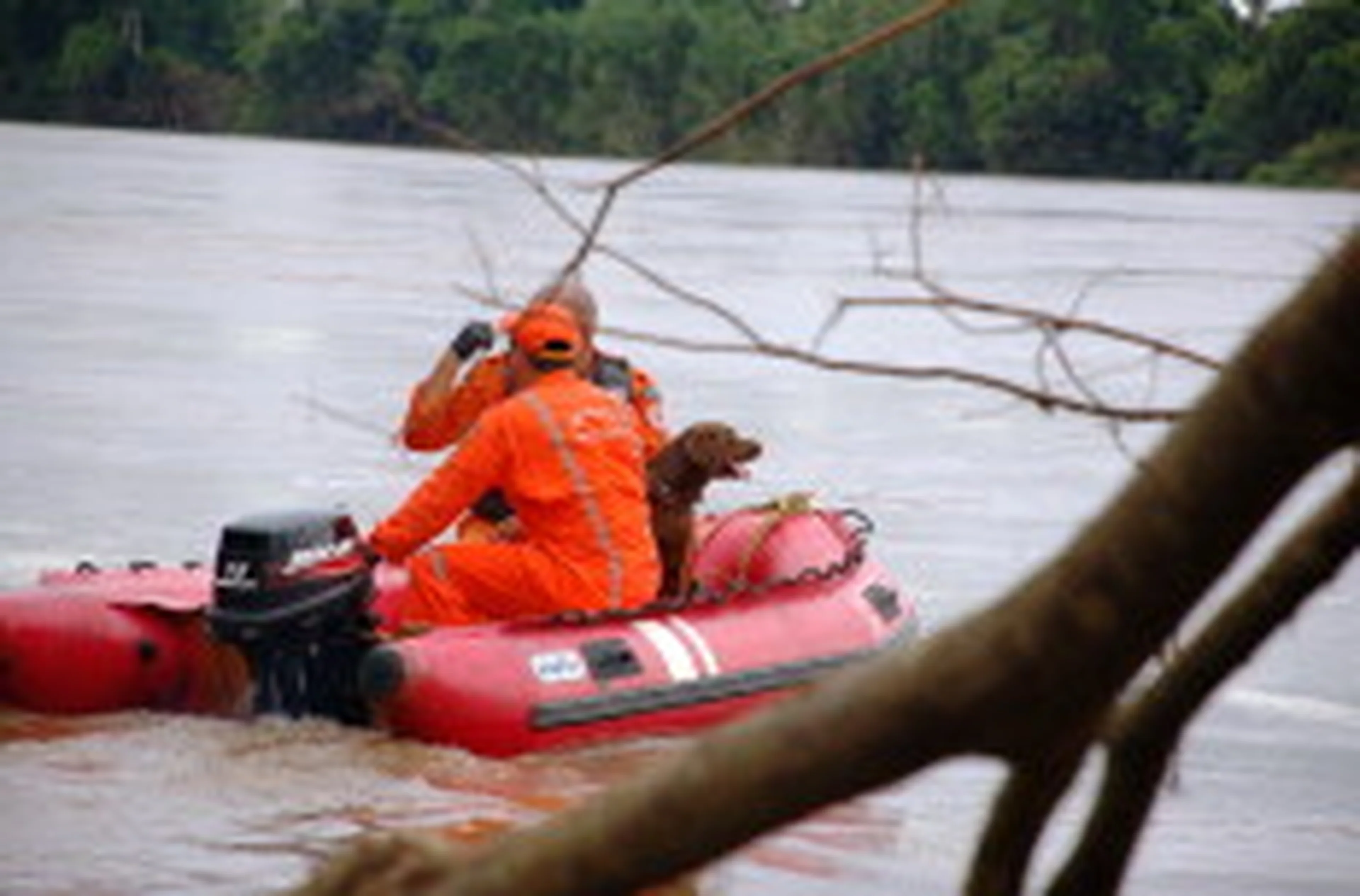 Erni Böck, especial/null
