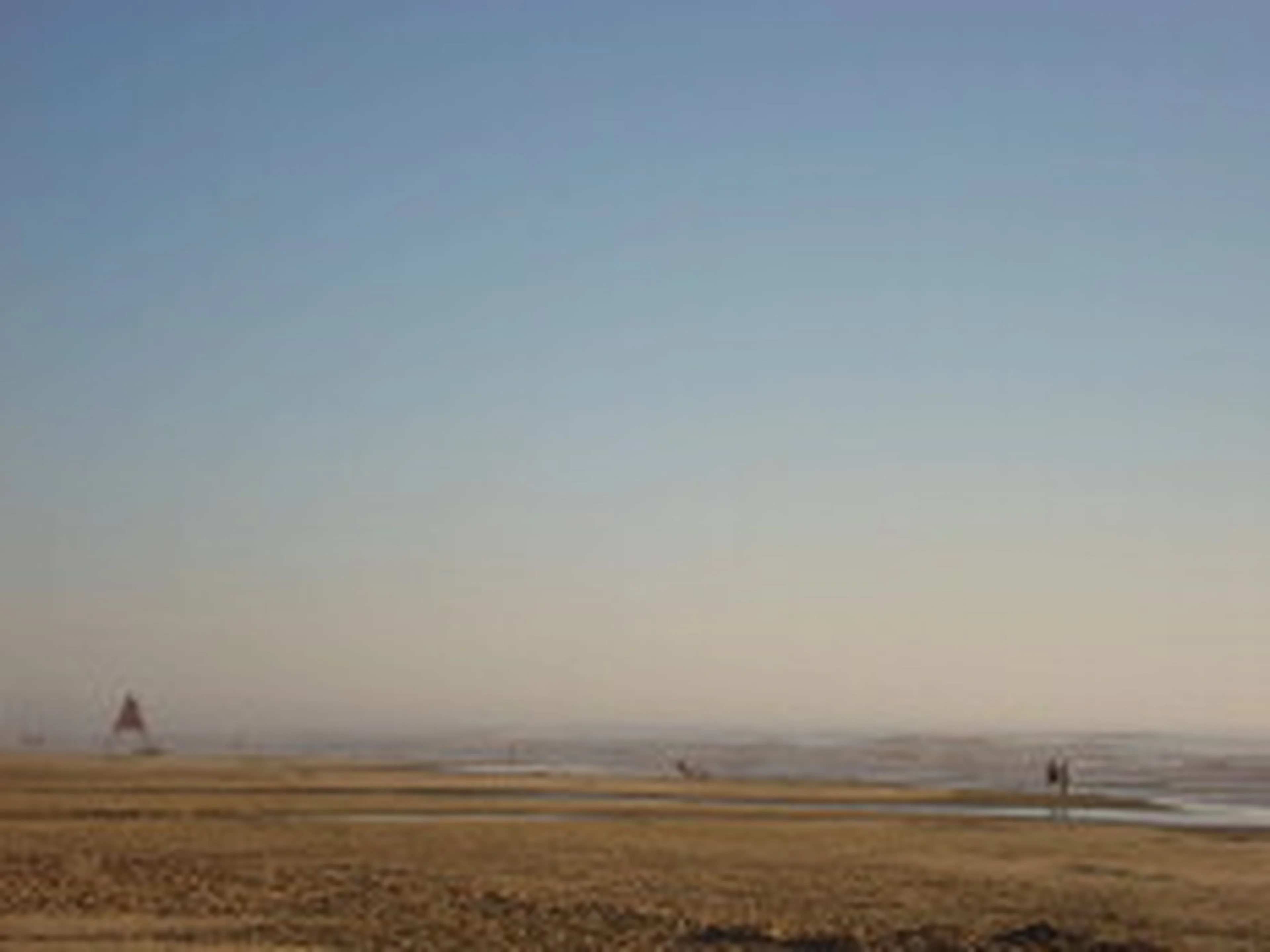 Juliana Bublitz/null