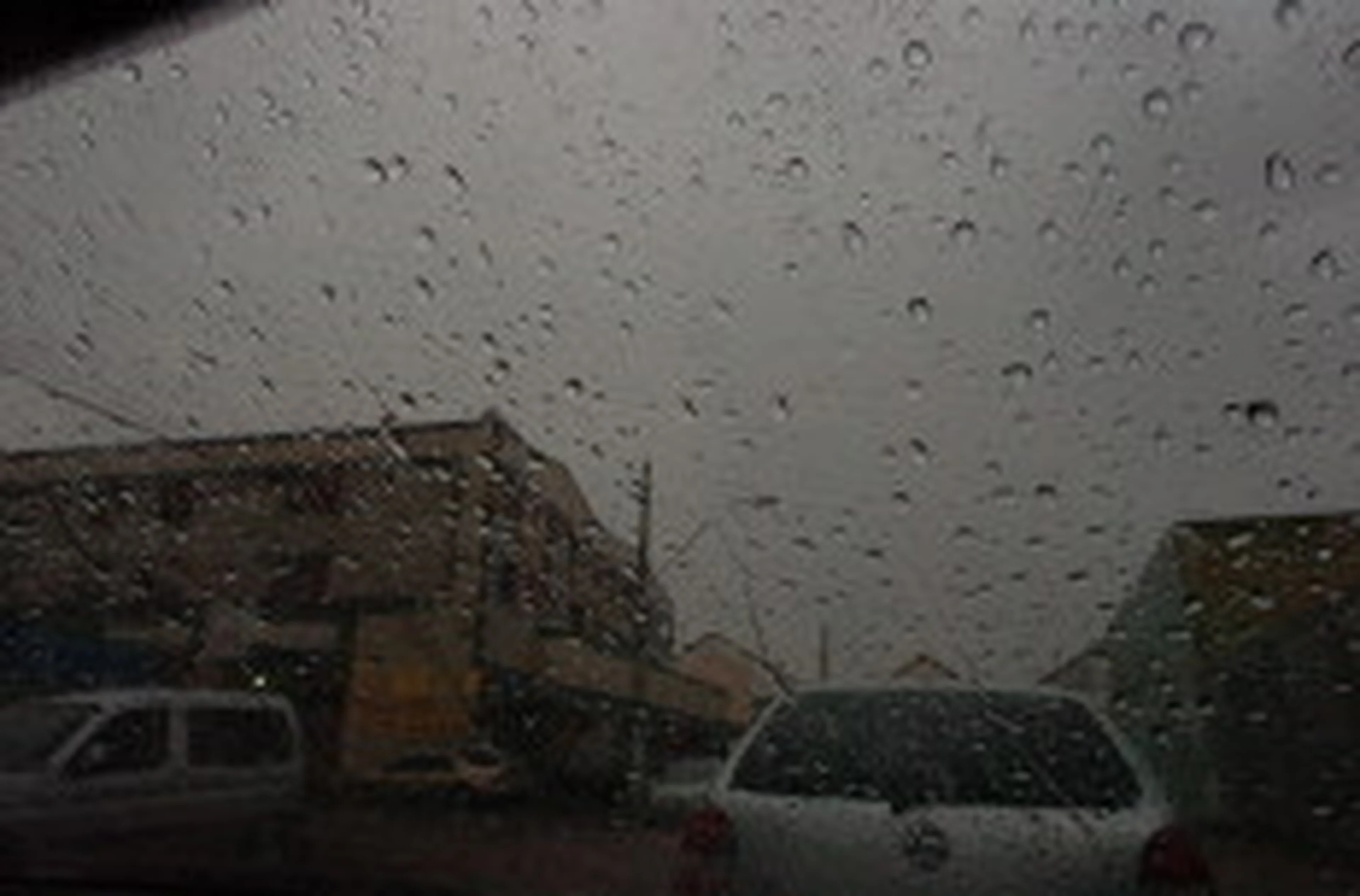 Ronaldo Bernardi/null