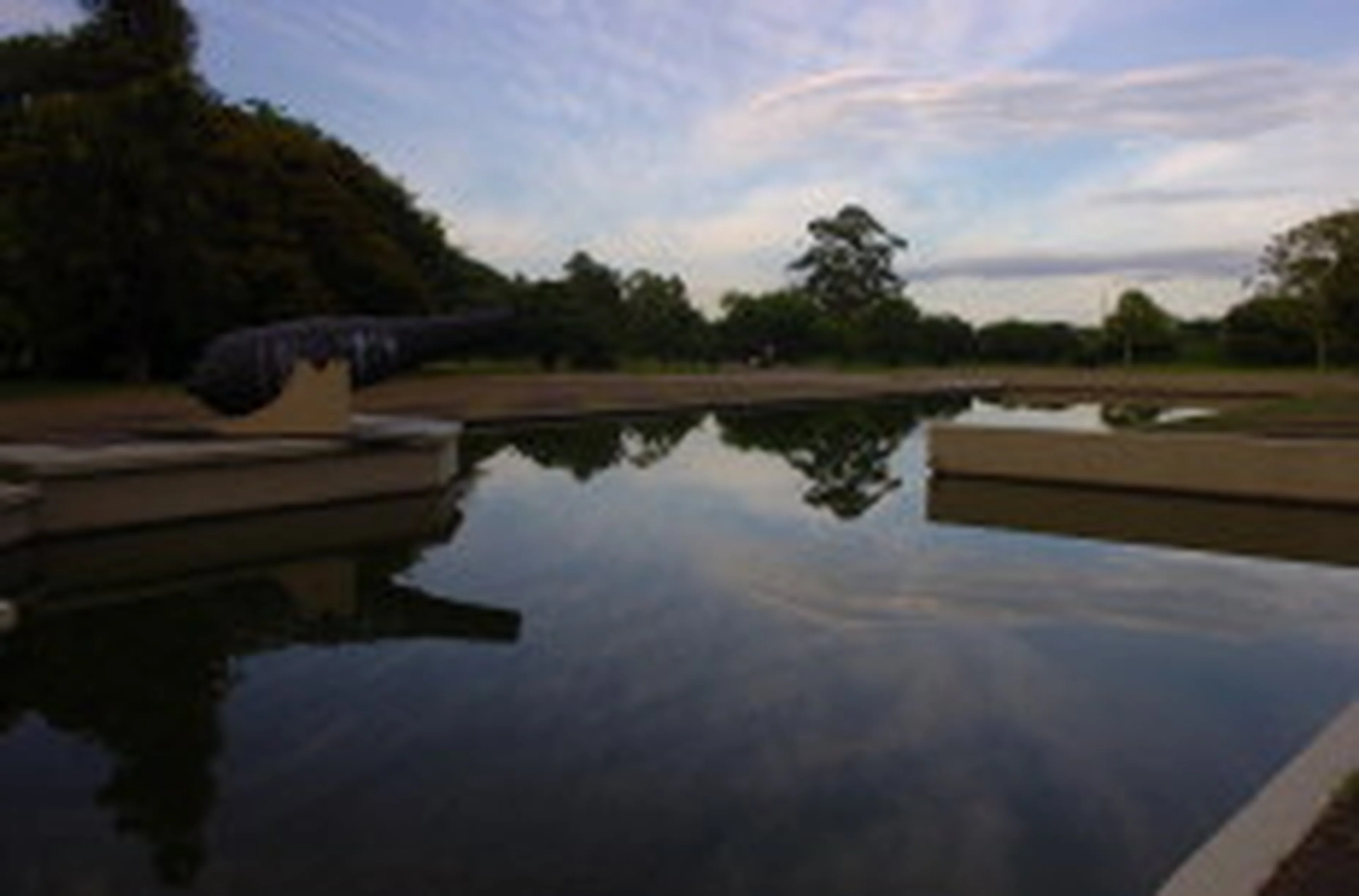 Ronaldo Bernardi/null