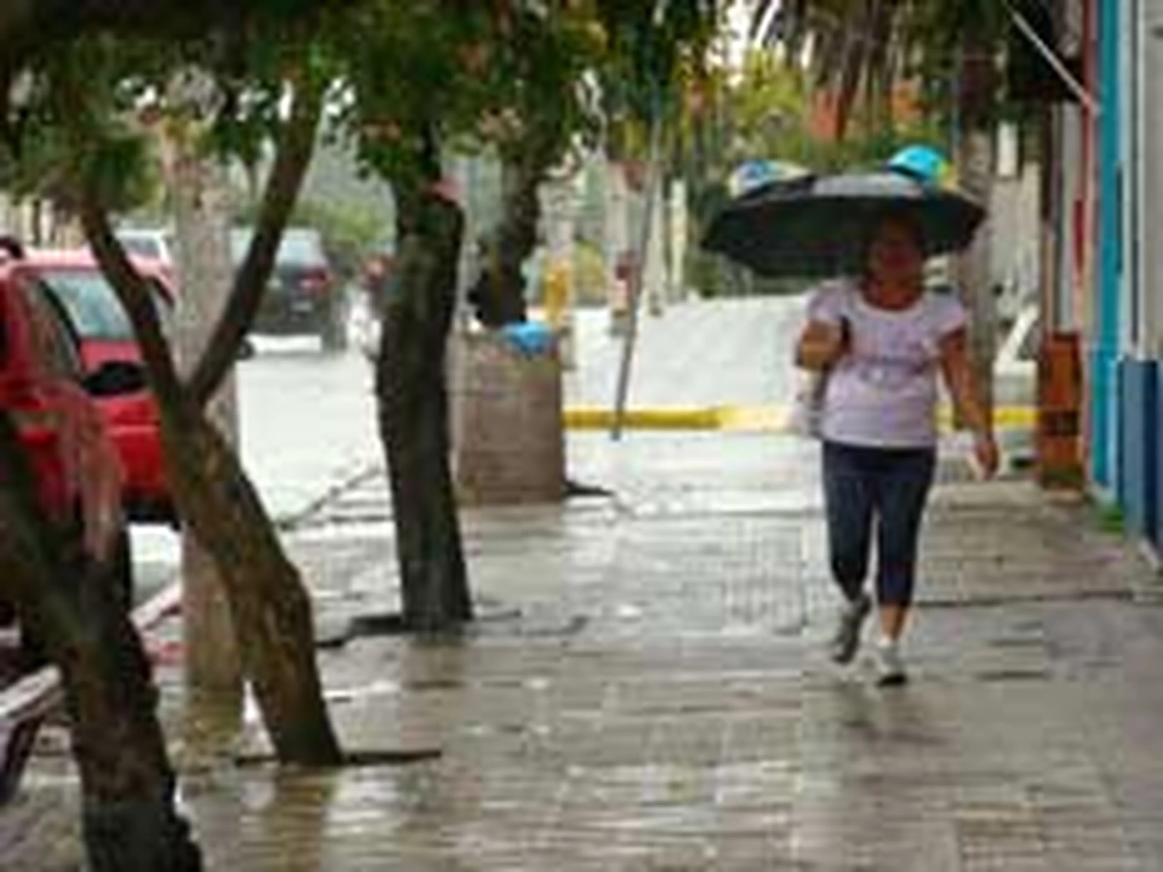 Renê Oliveira, Divulgação/null