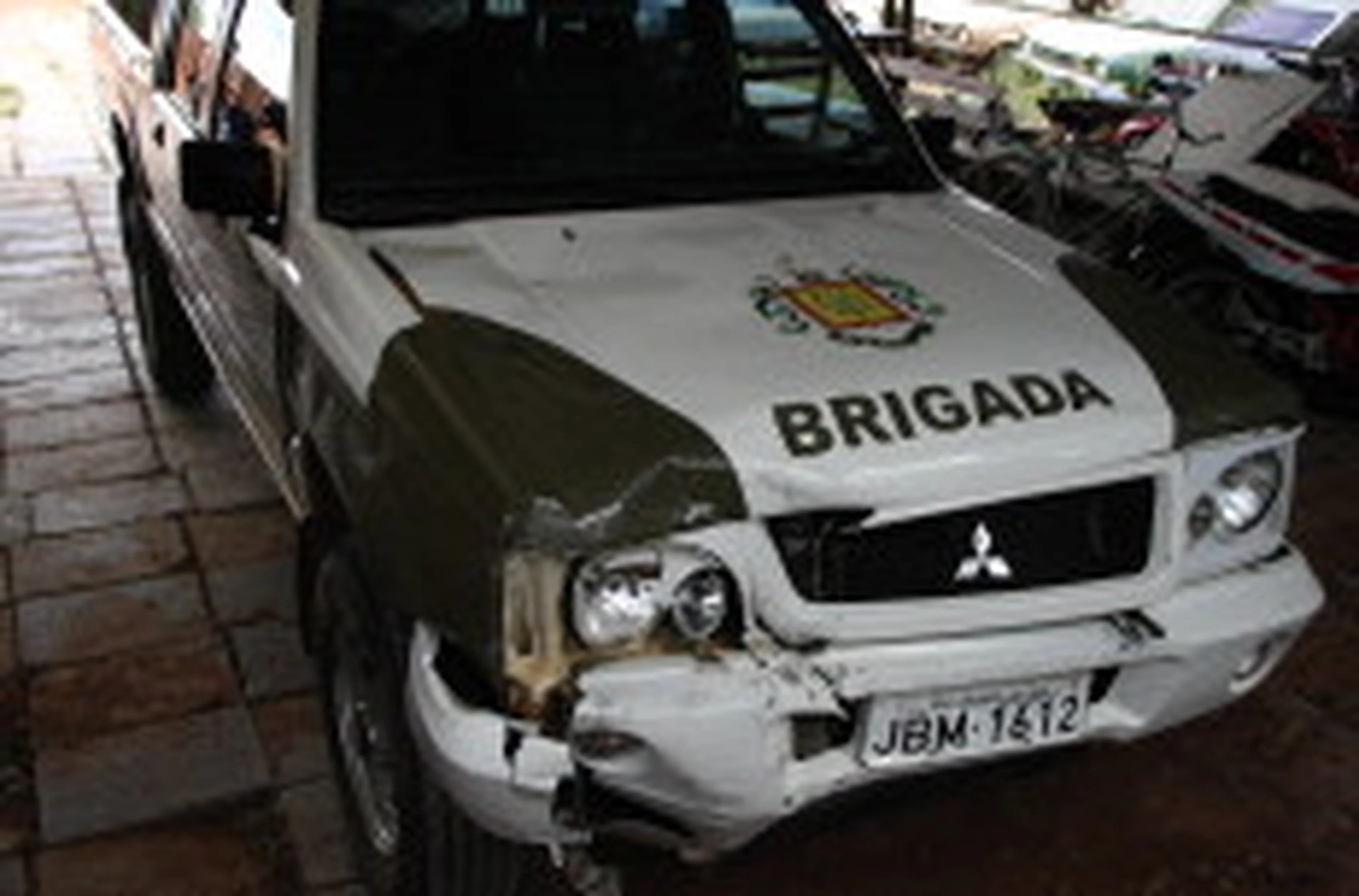 Ronald Mendes, Especial/null