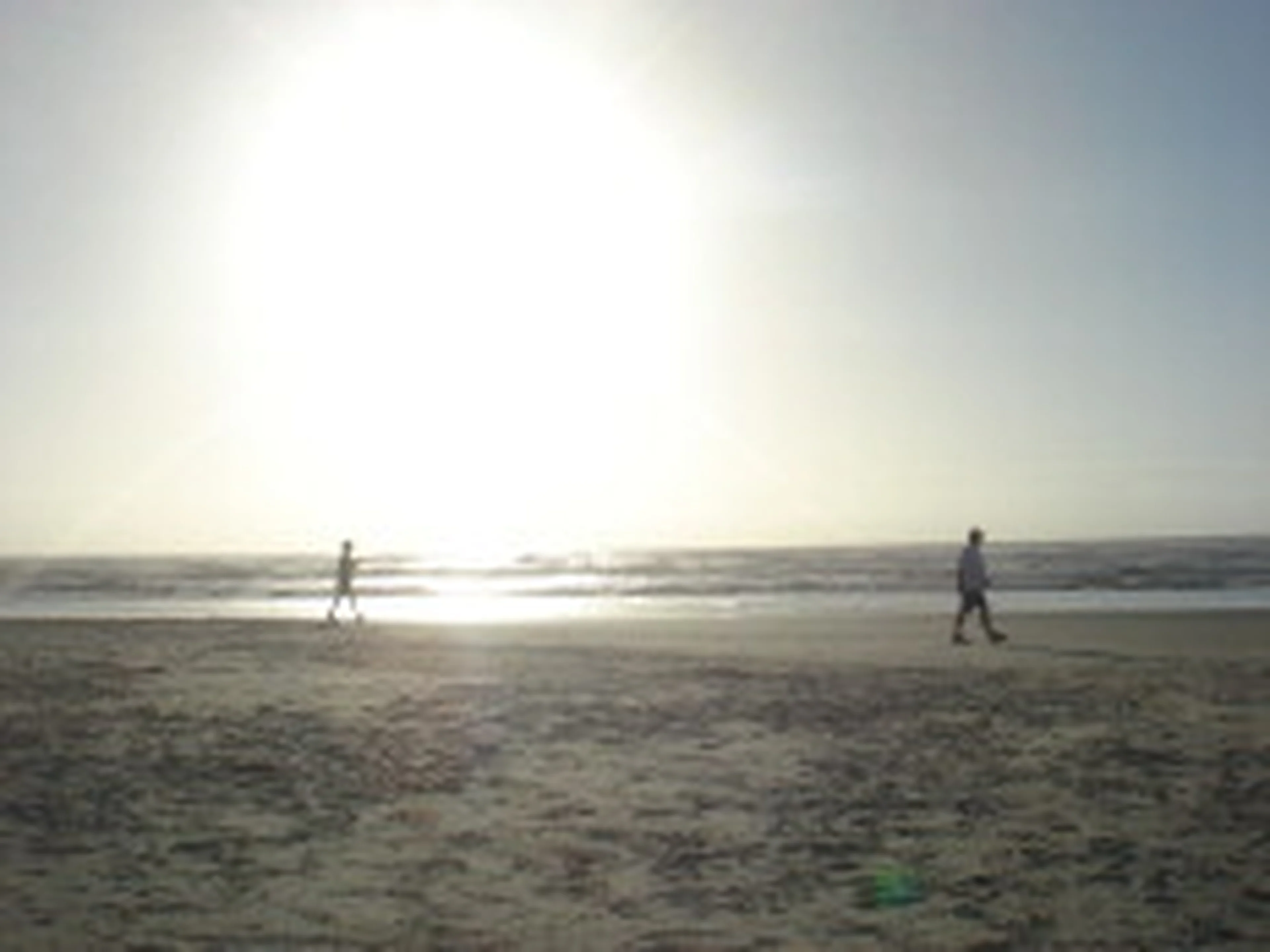 Fernanda Pandolfi/null