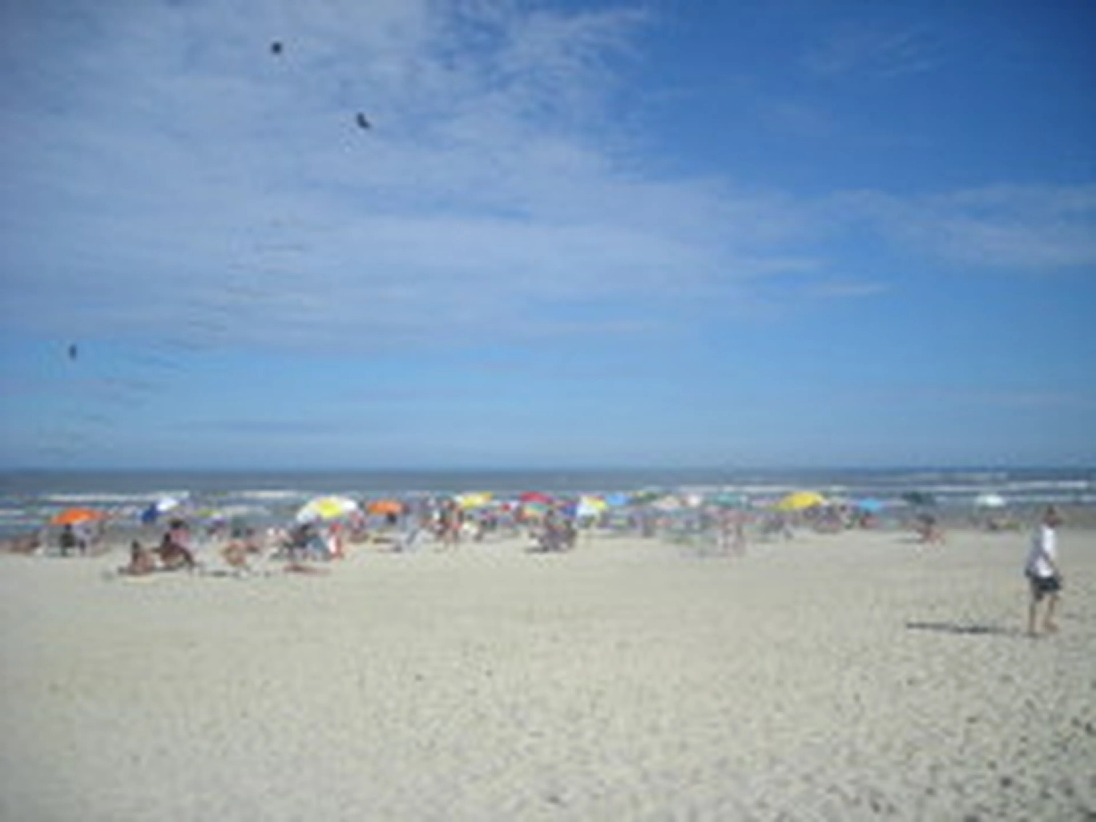 Fernanda Pandolfi/null