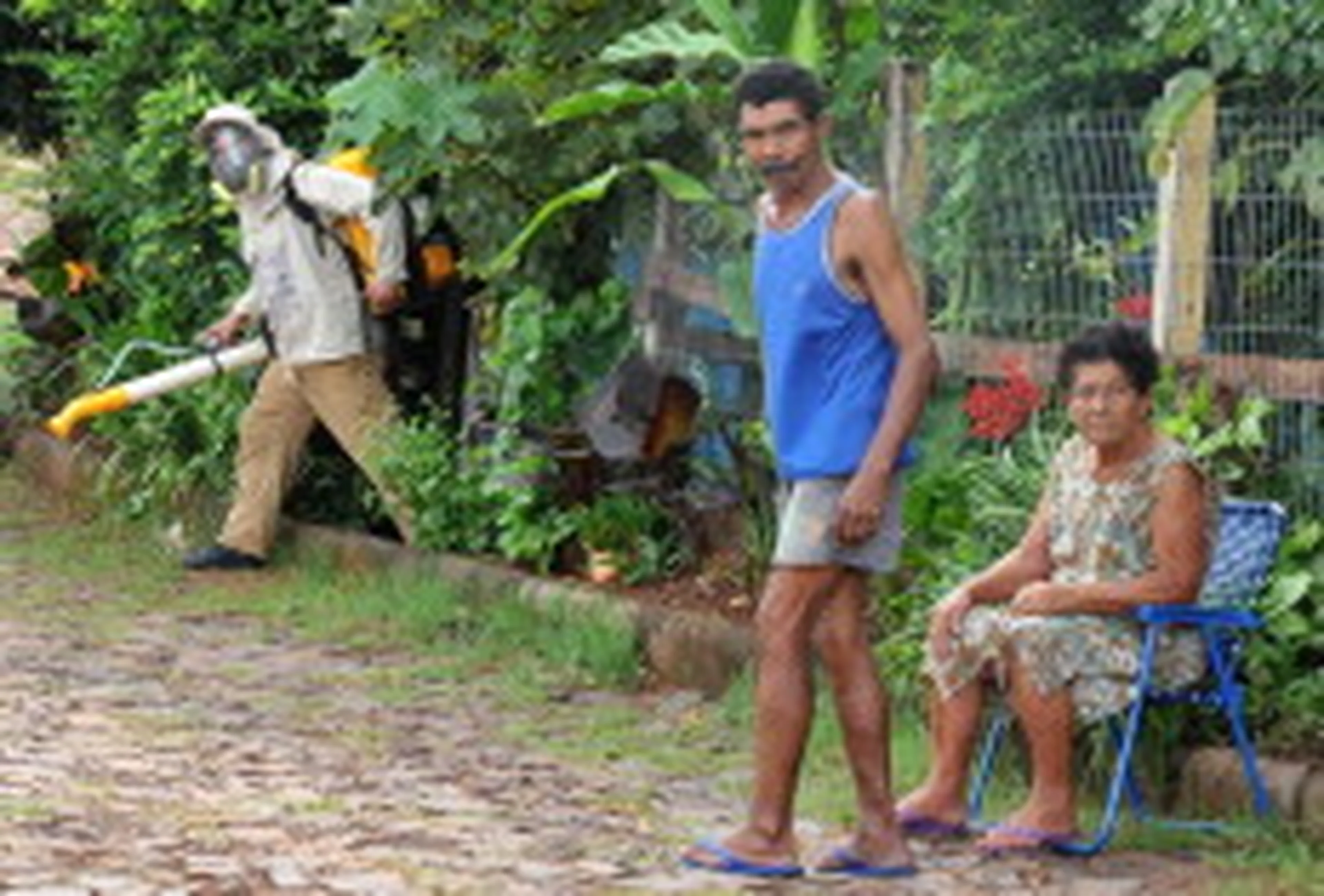 Jean Pimentel, Especial/null