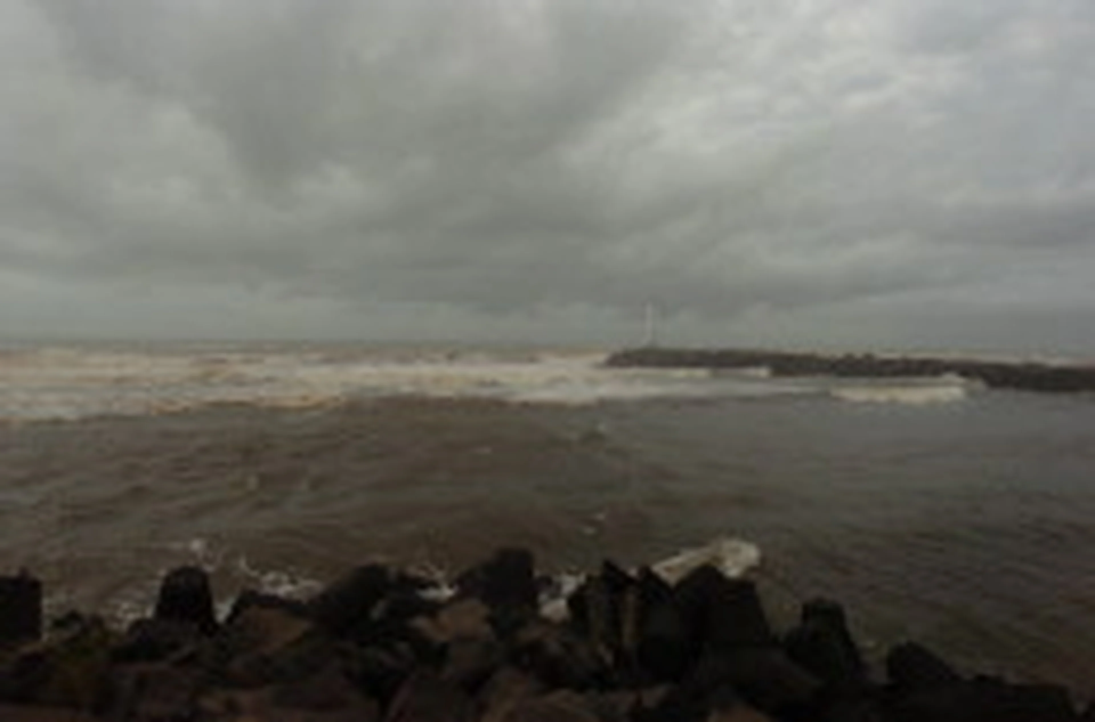 Ronaldo Bernardi/null