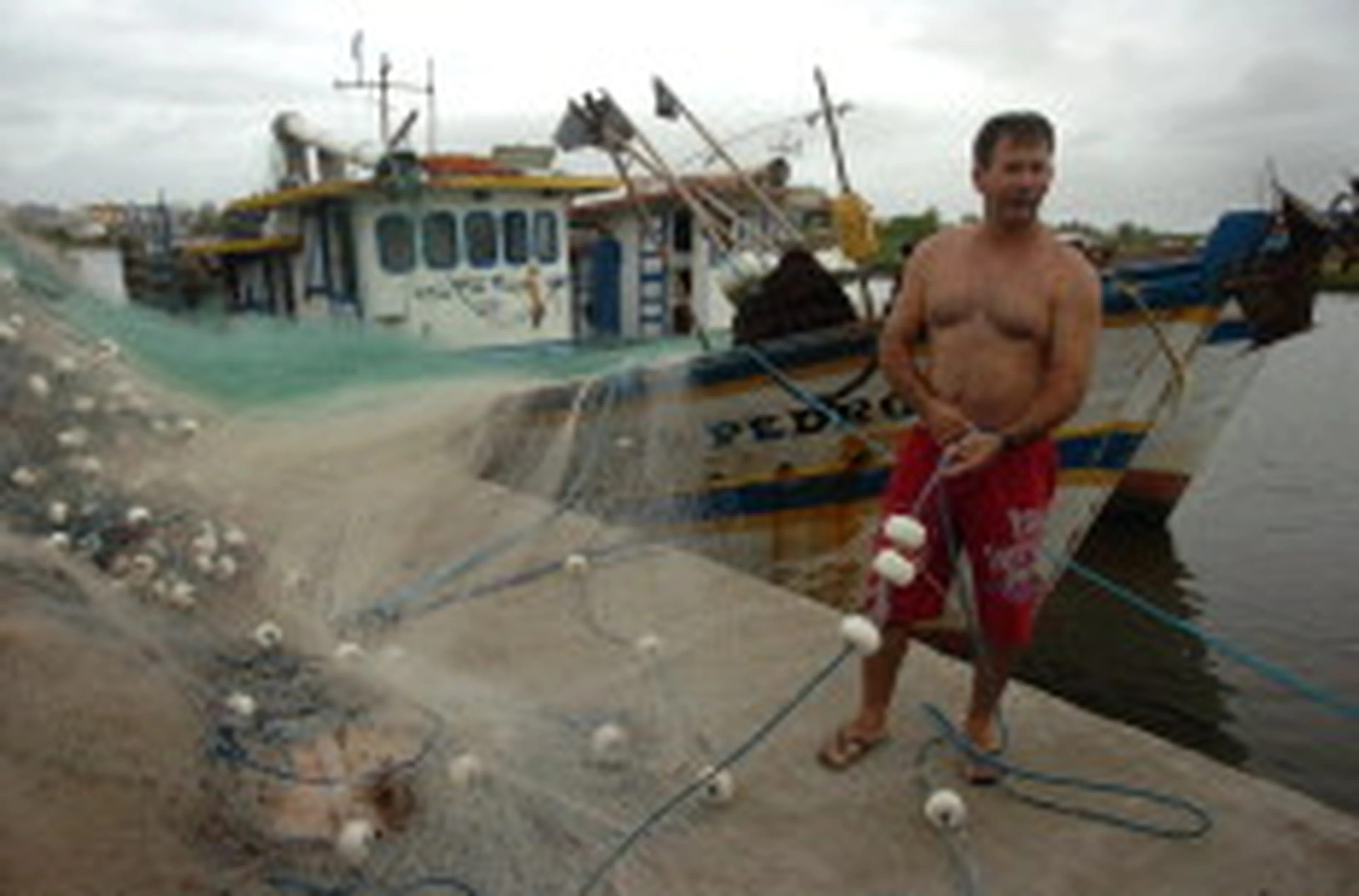 Ronaldo Bernardi/null